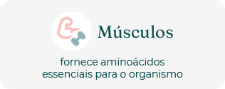 M&uacute;sculos
